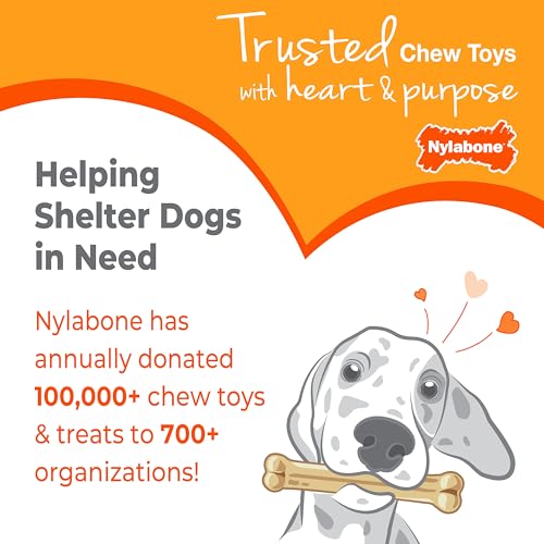 Nylabone Puppy Chew Teething Keys Dog Chew Toy, Bacon Flavor, Medium - size: Medium