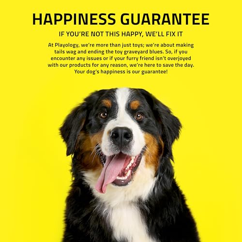 Playology Squeaky Chew Ball Dog Toy - Jumbo, Sweet Potato Scent - size: Jumbo, style: Sweet Potato