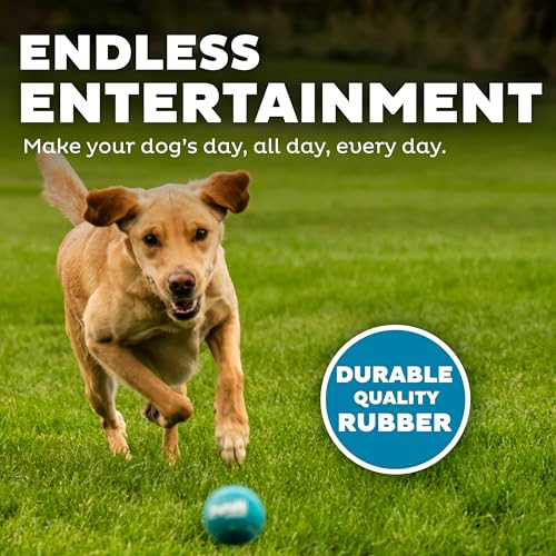 Outward Hound Squeaker Ballz Tennis Ball Dog Toy, Medium, 2.5", 6‑Pack - color: Multi Squeaker Balls, size: Medium, style: 6-Pack