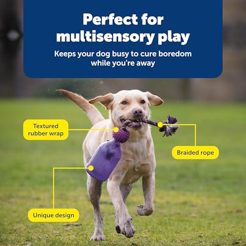 PetSafe Busy Buddy Tug-A-Jug Treat Dispensing Dog Toy, Small
