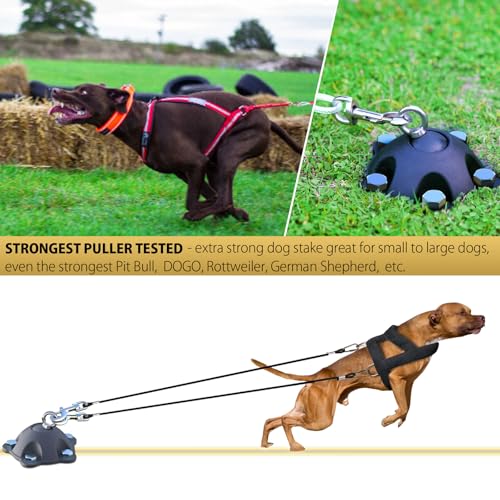 Patented 360° Swivel Dog Tie Out Stake Dog Anchor for Small to Large Dogs Up to 150lbs - Dog Yard Leash Stake with 5 Strong Tether Holds 1000lbs of Pull Force (Stake with 20ft Cable) - size: stake with 20ft cable