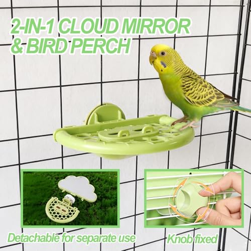 Bird Mirror with Perch Stand & Slow Feeder,Parrot Toys Swing(Green) - color: Green Cloud