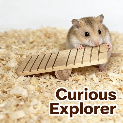 3 Pcs Guinea Pig Toys，Hamster Cage Accessories，Hamster Toys