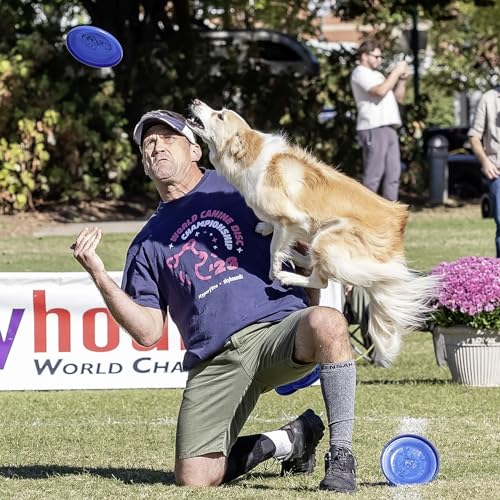 Hyperflite Pup Jawz Puncture Resistant Dog Flying Disc, Small Dogs - color: blue