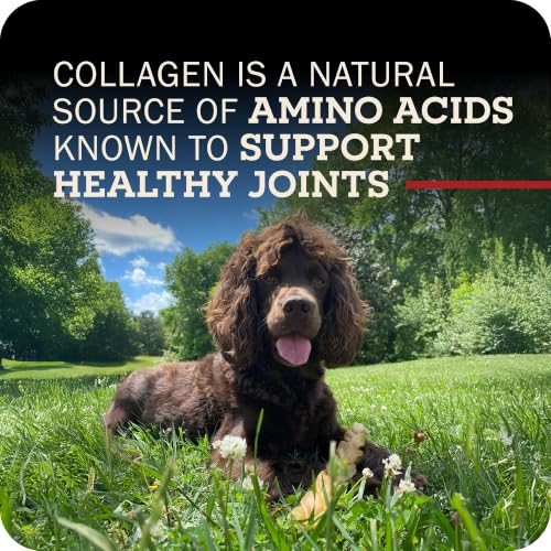 Redbarn Pet Products Collagen Braid Small 3-Count Beef Collagen Chews for Dogs - Joint Health Support with Collagen Peptides, Alternative to Traditional Rawhide - size: 1 Ounce (Pack of 3)