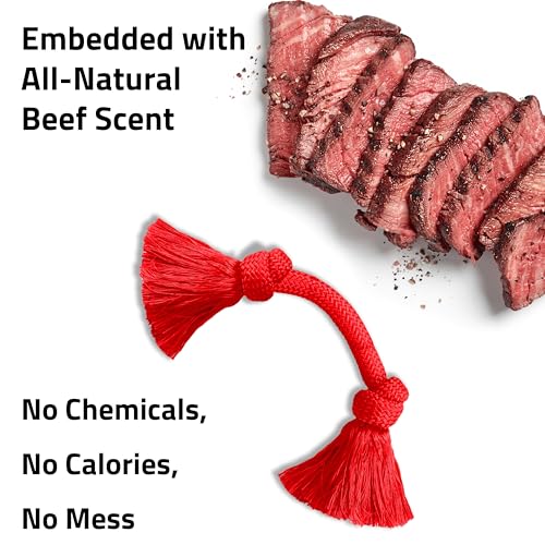 Playology Tug Rope Dog Toys for Medium Dogs - Medium, Beef Scent - size: Medium, style: Beef