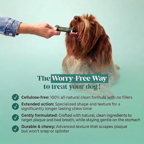 Pet Honesty Brush Buddies Vet Backed Dog Dental Chews, 8 Count - size: 8 Count (Pack of 1)