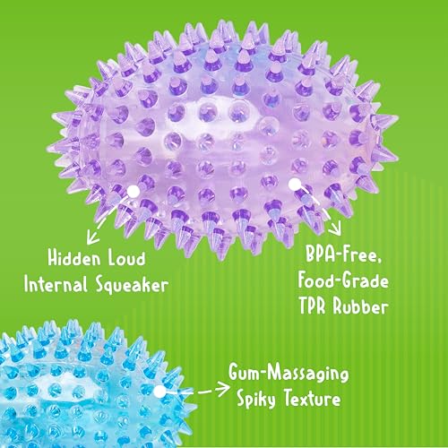 Gnawsome™ 3.5” Spiky Squeaker Football Dog Toy - Small, Cleans Teeth and Promotes Good Dental and Gum Health for Your Pet, Colors Will Vary (Pack of 2) - size: 3.5" (Pack of 2)