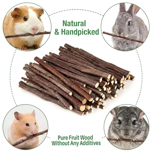 Sukh 340g Organic Apple Sticks - Natural Chew Sticks for Rabbits & Rodents - size: 340g