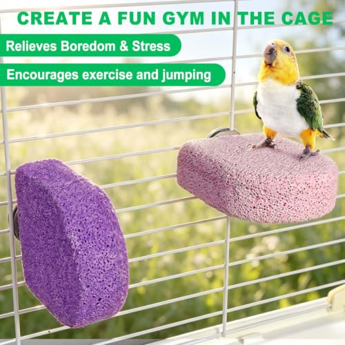 4Pcs Bird Beak Grinding Stone Lava Ledge Parrot Perch Stand Platform,Color - color: 4Pack Colorful | S