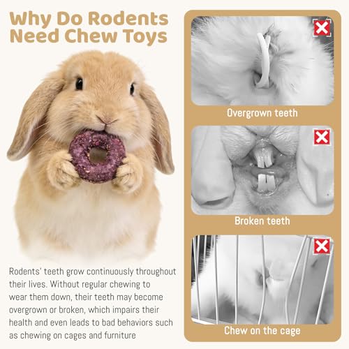 Fhiny 20 PCS Rabbit Chew Toys, Natural Timothy Grass Rabbit Treats with Three Flavors of Fruits and Vegetables, Strawberry and Oat, Small Animal Molar Toys for Chinchillas Guinea Pigs Hamsters
