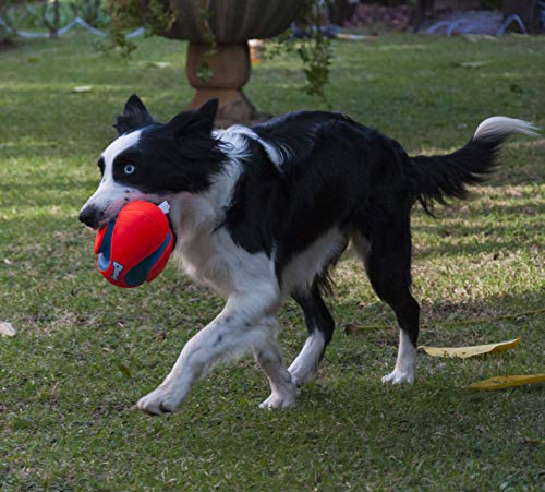 Chuckit! Fumble Fetch Dog Football - Outdoor and Indoor Interactive Dog Toy with Grooved Design for Easy Pickup - Made from Durable Rubber - Floats in Water - Small - Orange and Blue (Pack of 6) - size: Small (Pack of 6), style: Orange/Blue