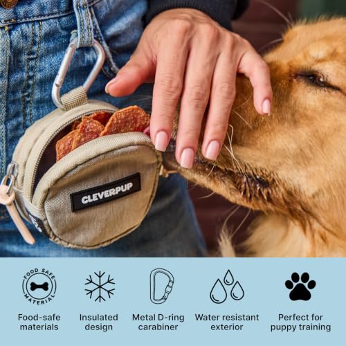 Cleverpup Snackpack Double Insulated Dog Treat Pouch – 1.5 Cup, 2 Pockets – Leopard - color: Leopard