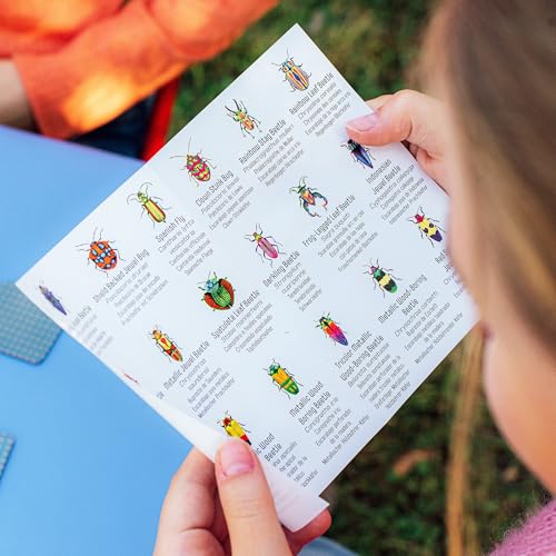 eeBoo Little Beetles Memory & Matching Game, Ages 3+, 1-4 Players - style: Beetles