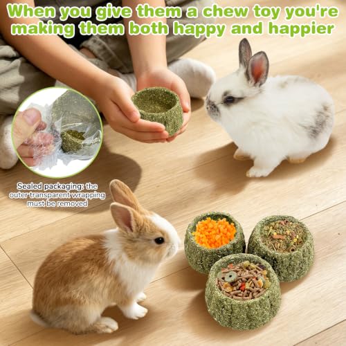 Hamiledyi Guinea Pig Chew Toys 4 Pcs Natural Timothy Hay Treats Chew Bowl
