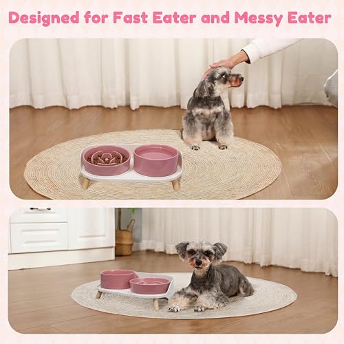 Elevated Slow Feeder Dog Bowls with Splash Proof Stand, Slow Eating 5X - color: Pink