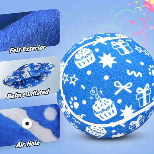 QDAN Dog Gifts, Puppy Dog Birthday Toys, Tennis Ball for Dogs, 9.5 Inch - color: Blue-gift