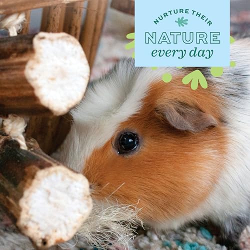 Oxbow Natural Dangly Party Pack, Rabbit & Guinea Pig Toys, Enrichment - style: Dangly Pack