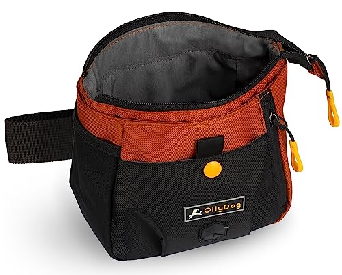 OllyDog Backcountry Day Bag | Hands-Free Dog Training Treat Pouch | Fanny/Hip Pack with Zipper Closure & Built-in Poop Bag Dispenser | Removable Waist Clip (Clay) - color: Clay