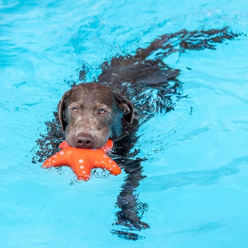 Fringe Studio Shelly Floating Dog Toys, Pet Shop Collection (640004) - color: Shelly