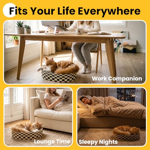 Conlun Oval Cat Scratcher Bed Bowl Lounge for Kittens | Medium | 2 Pack - color: Checkerboard, size: 2 Pack-Medium(16.9"L x 12.9"W x 3.5"Th)
