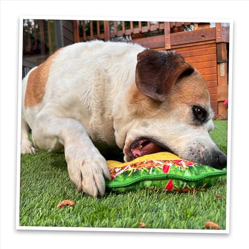 Doggijuana Tuffer Chewer Dog Toy, Taco | Squeaky Refillable Plush Toy - size: Standard, style: Taco