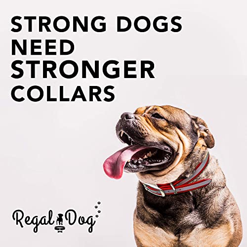 Regal Dog Products Reflective Dog Collar, Durable Metal Buckle, Small Red - color: Red, size: Small