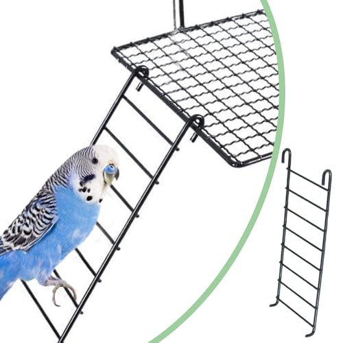 4 Pcs Bird Perches Platform, Stainless Steel Bird Cage Platform with Climbing Ladder Bird Cage Accessories for Budgerigars, Cockatiels, and Small to Medium-Sized Birds (Black)