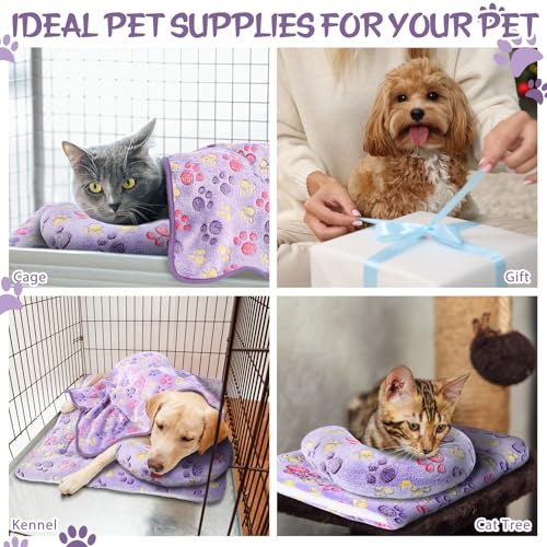 Namalu 3 Pack Soft Cat Bed Mat with Blanket and Pillow Indoor - style: Paw