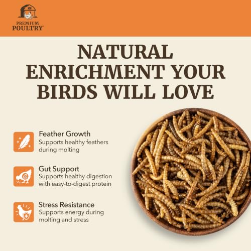 5Lb Black Soldier Fly Larvae for Birds, 20Lbs Total, 4-Pack - size: 20lb, style: Soldier Fly Larvae