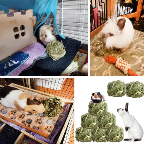 kathson Natural Rabbit Grass Ball,Timothy Grasses Chew Toys,Natural Weaving Molar Tooth Toy,Bunny Activity Play Balls for Chinchillas Hamster Guinea Pig and Small Animal (6 PCS) - color: Grass green
