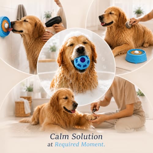 Dog Licking Bowl with Rolling Ball, Anti-Slip Slow Feeder (Blue) - color: Blue
