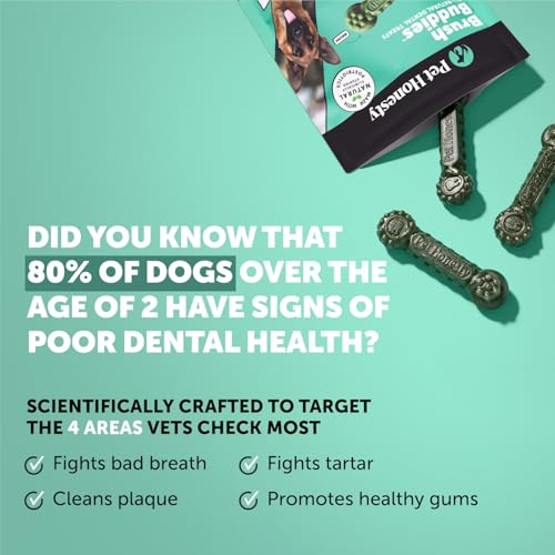 Pet Honesty Brush Buddies Vet Backed Dog Dental Chews, 8 Count - size: 8 Count (Pack of 1)