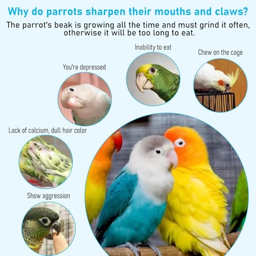 PINVNBY 3 Pack Parrot Toys Chewing Bird Toy Cuttlebone Beak Grinding Stone Cage Hanging Toys with Bell for African Greys Amazon Conure Eclectus Budgies Parakeet Cockatiel Hamster Chinchilla