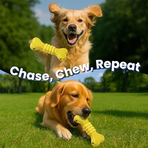 PAWSPIK Bone Treat Dispensing Enrichment Dog Chew Toy