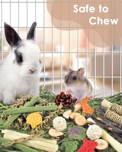 Bissap Rabbit Chew Toy, Natural Bunny Treats Snacks with Timothy Hay Water Grass Mat Chewing Bamboo Apple Sticks Box for Guinea Pigs Chinchillas Hamsters Gerbils and Other Small Pets Teeth Grinding