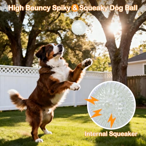 petizer 2.5 Inch 6 Pack Glowing Squeaky Ball for Dogs - Durable Rubber Spiky Balls for Small Dog, Bouncy Glow in the Dark Balls Indoors & Outdoors, Puppy Teething Chew & Training Toys - size: 2.5''-6pack