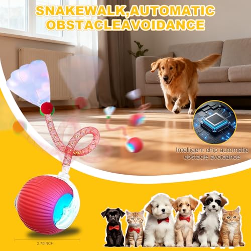 2-Pack Interactive Cat Toys Ball - color: RedGreen-1