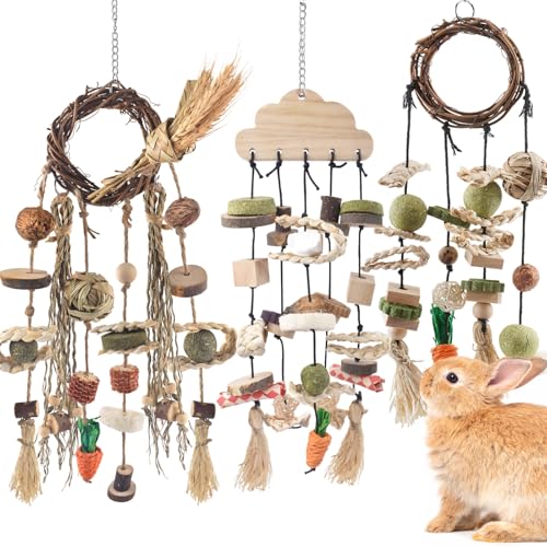 Bissap 3 PCS Rabbit Chew Toy, Bunny Cage Hanging Chew Toys Treats Rattan Ring with Snacks Water Grass Wooden Block Carrot for Guinea Pigs Chinchillas Hamsters Rats and Other Small Pets Teeth Grinding - size: 3 PCS