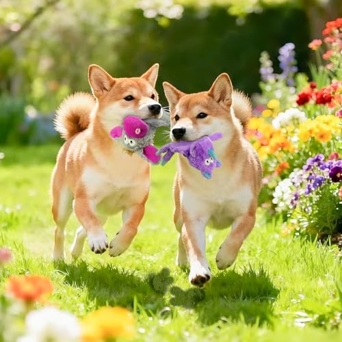 5 Pack No Stuffing Dog Toys, Squeaky Crinkle Plush Animal Toys - color: 5-color