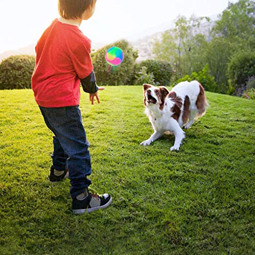 2 pcs Large Light Up Dog Balls Flashing Elastic Ball Bouncy Glow in The Dark Interactive Jumping Blinking Dog Ball Pet Toys for Golden Retriever,Labrador,Large Dogs - color: 2 pcs Large smooth balls