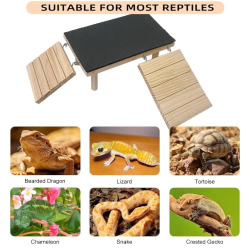 Bearded Dragon Basking Platform Reptile Hideout Climbing Tank Accessories - size: Medium