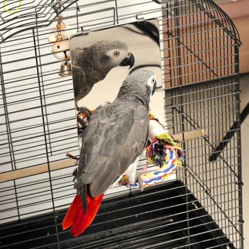 Colorday 9" Bird Mirror for Cage, Large - size: Large