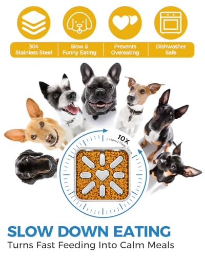 Slow Feeder Dog Bowls with Non-Slip Mat, Stainless Steel Metal Slow Feeder for Small & Medium Dogs, 2.5 Cups Pet Bowl for Fast Eaters, Slows Down Eating, Dishwasher Safe, Anti-Gulping Dog Bowl - size: 2.5 Cup Single Pack
