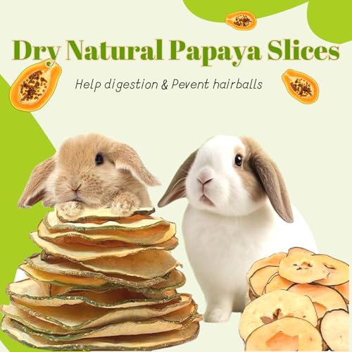 Hamiledyi Rabbits Chew Treats Dried Brussels Sprouts & Papaya for Guinea Pigs Chinchillas Hamsters Bunny Natural Small Animal Chew Toys for Teeth Grinding Foraging Treats (10 OZ)