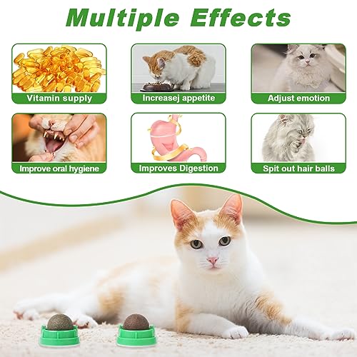CCINEE 3PCS Catnip Balls for Cats Wall Catnip Toys Edible Cat Toys for Cat Lick Safe Healthy Kitten Chew Toys Teeth Cleaning Dental Cat Toys