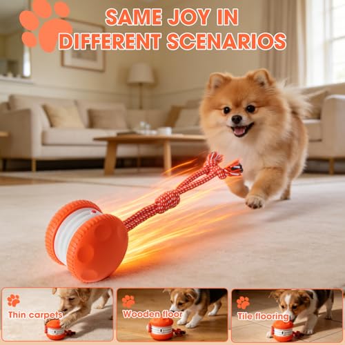 Interactive Dog Toy,Random Path Automatic Electric Rolling Toy with Rope,Motion-Activated Dog Stimulation Toy for Chewing and Playing,Boredom Relief,for Small Medium Large Dogs (Blue) - color: Blue