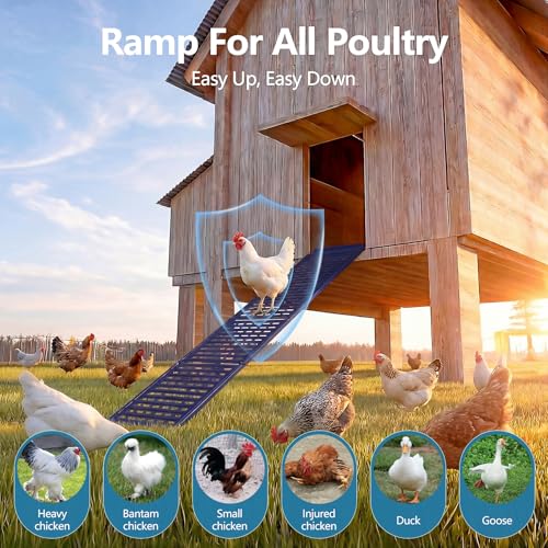 Lilyang Heavy-Duty Metal Chicken Coop Ladder Ramp, 48.0″L*10.2″W - color: Blue, size: 48.0″L*10.2″W