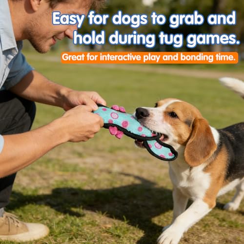 Squeaky Dog Toys for Small & Medium Dogs, Turtle & Lobster Set - color: Turtle & Lobster