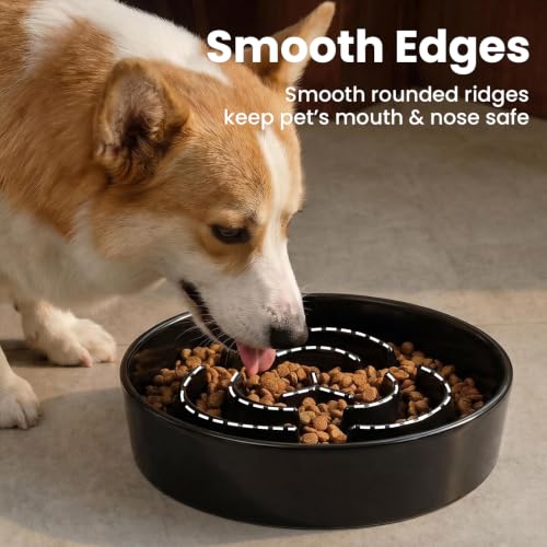 Ceramic Slow Feeder Dog Bowls 0.6 Cups for Small Fast Eaters,White - color: Black, size: S - 0.6 Cups